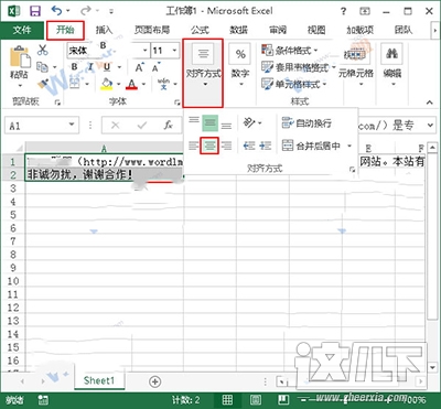 Excel2013