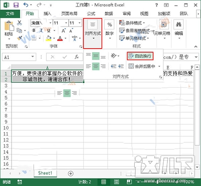 Excel2013